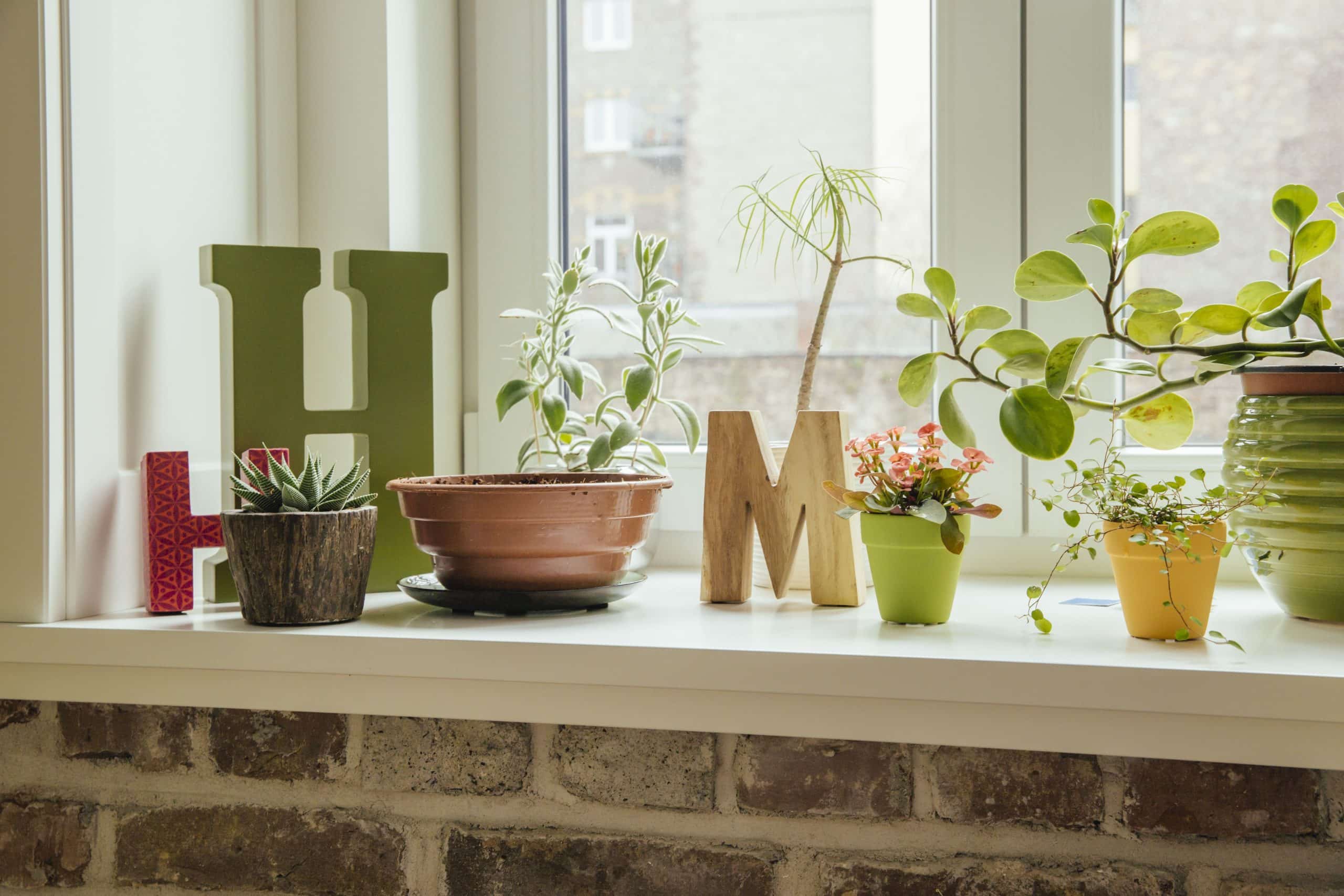 A Clever Windowsill