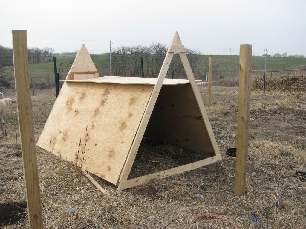 A-Frame Goat Shelter