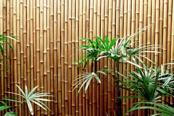 Bamboo for Your Pallet Fence.jpg