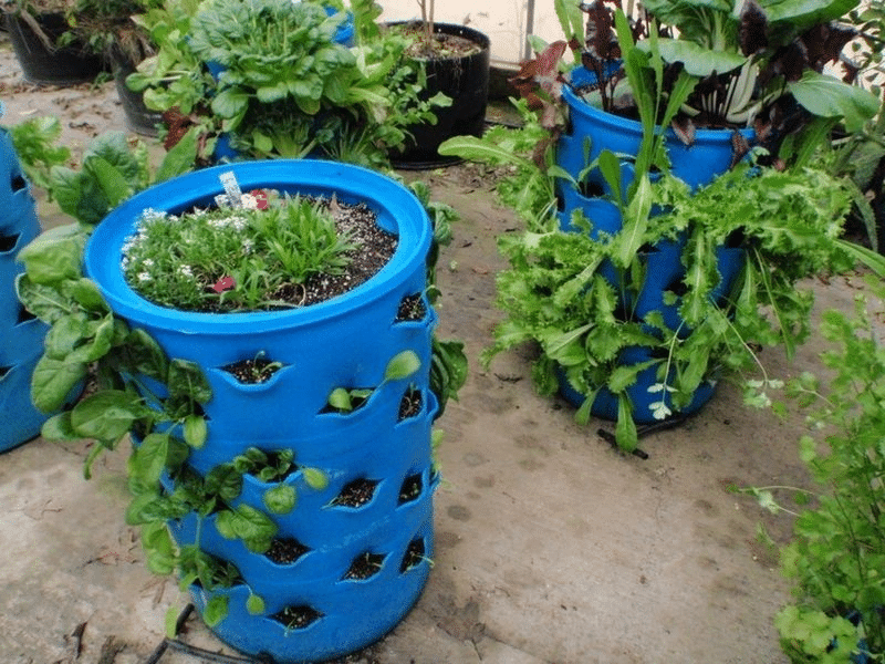 Barrel Planter