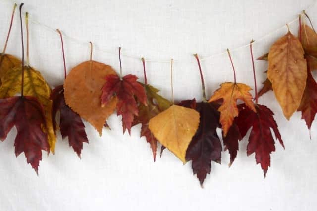 Beautiful Garland from Dried Leaves