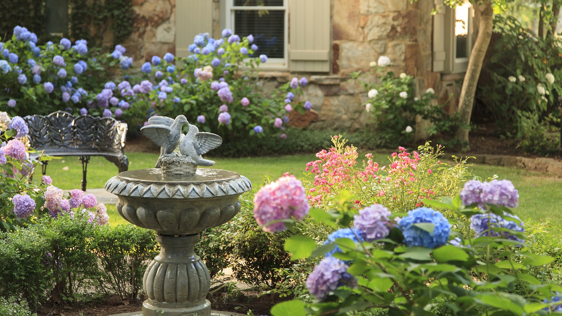 Hydrangeas surrounding a bird bath