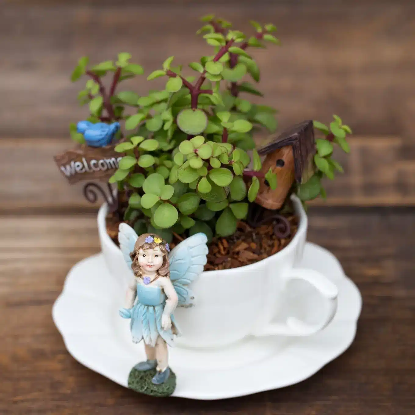 Fairy Garden In Teacup