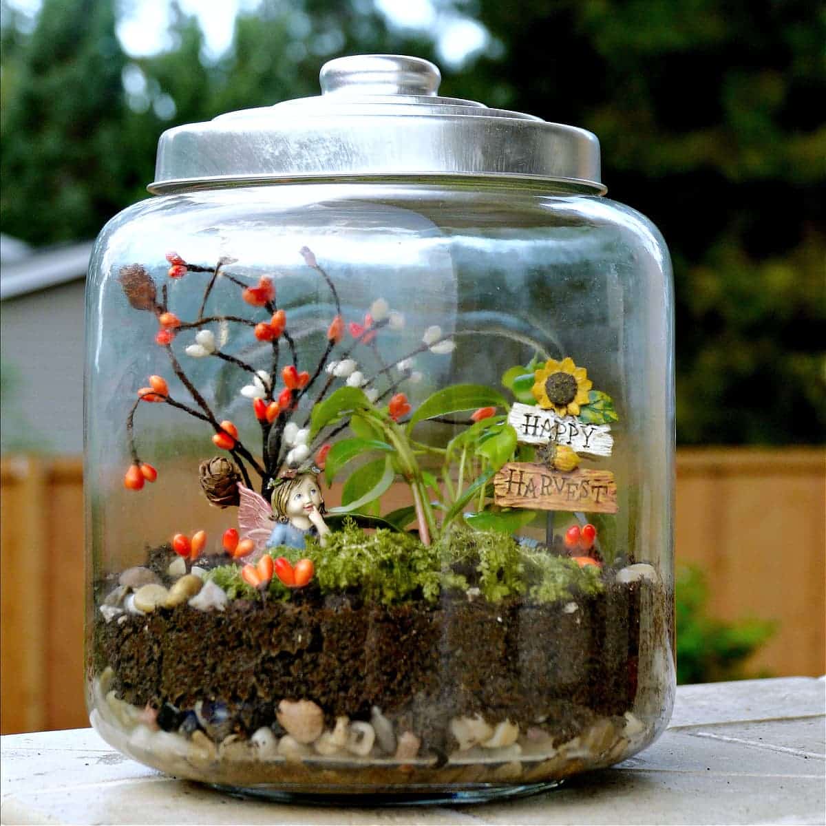 Fairy Garden In a Glass Jar