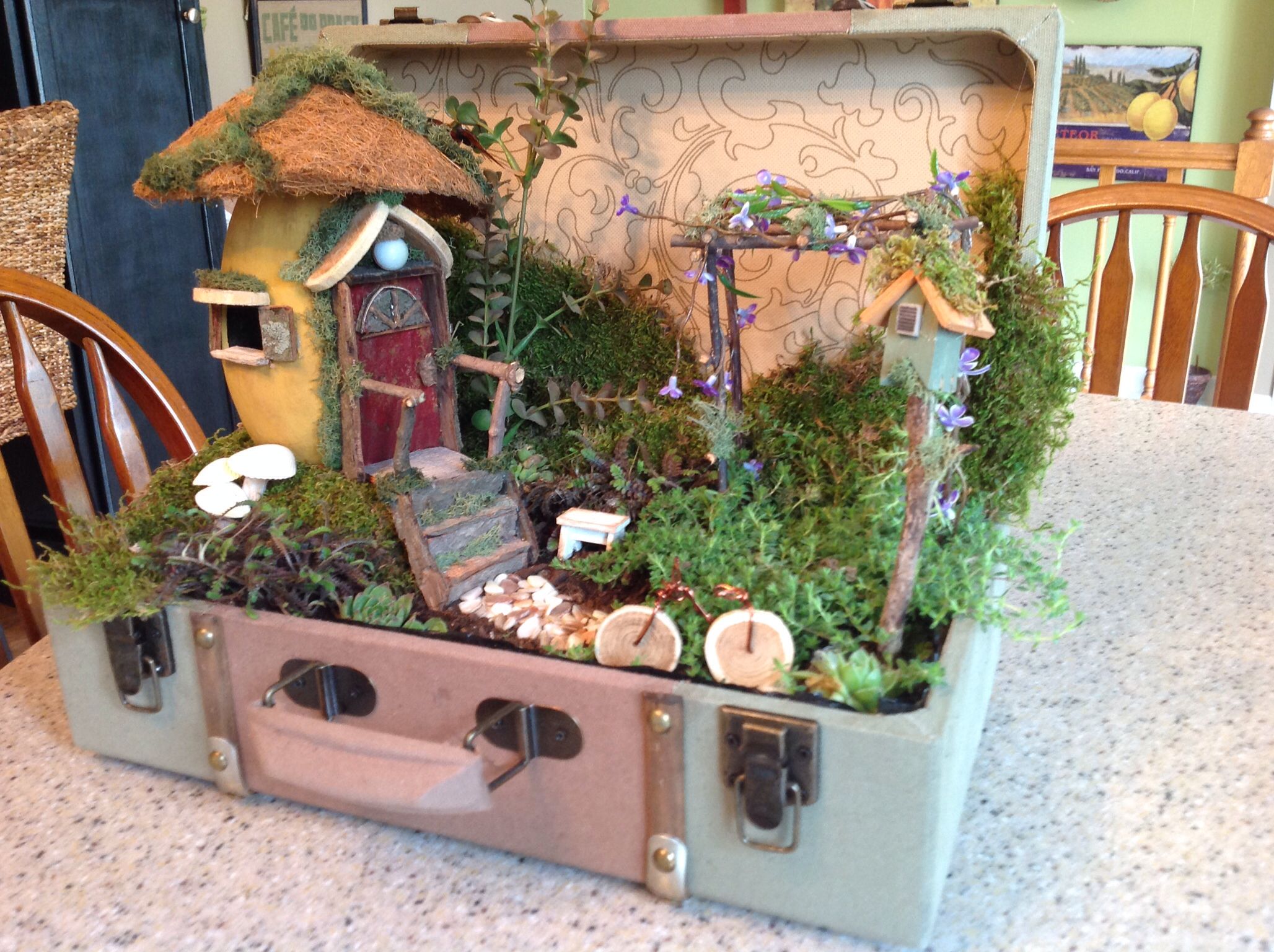 Fairy Garden In a Suitcase