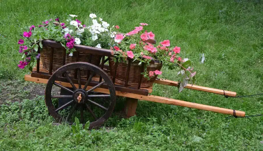 Flowered Wheelbarrow .jpg