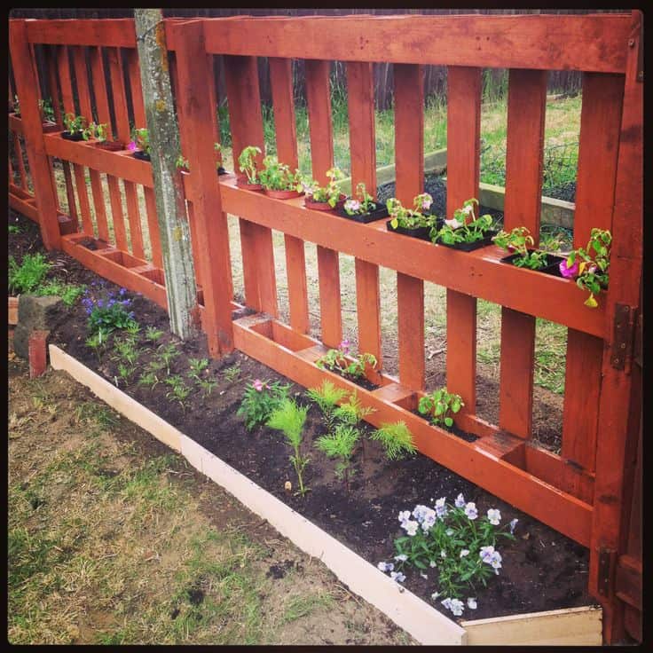 Garden & Pallet Fence