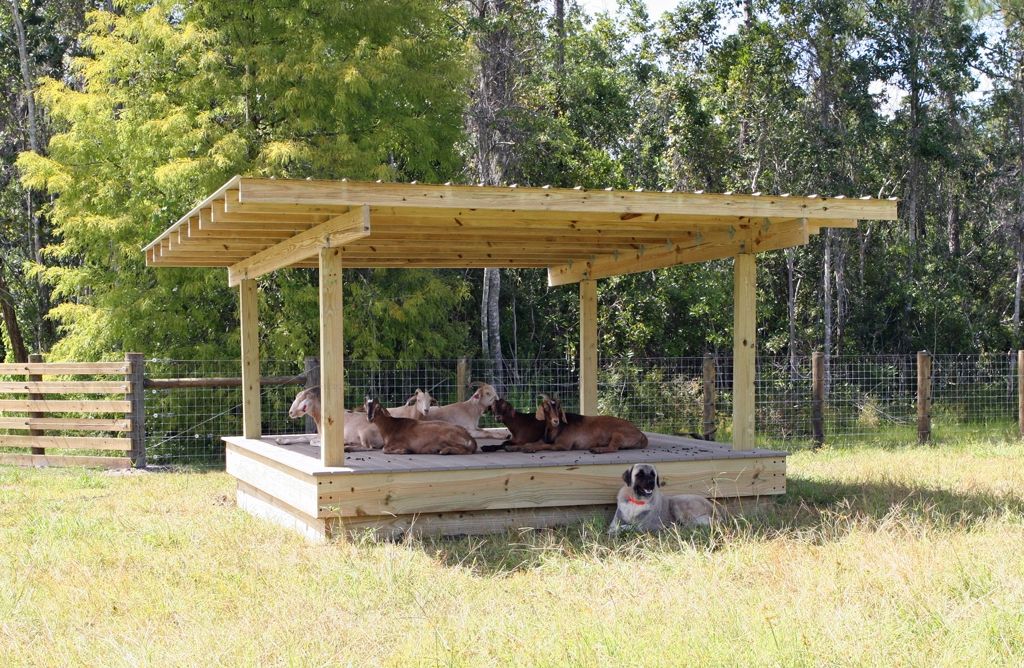 Gazebo Style Goat Shelter