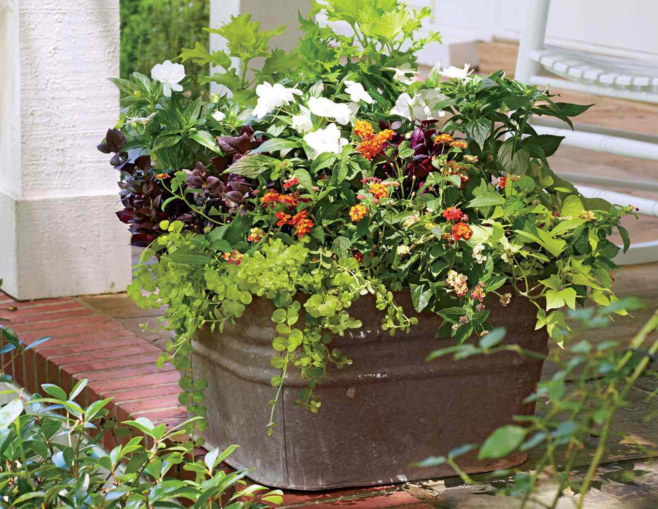 Heat and Humidity Tolerant Container Garden