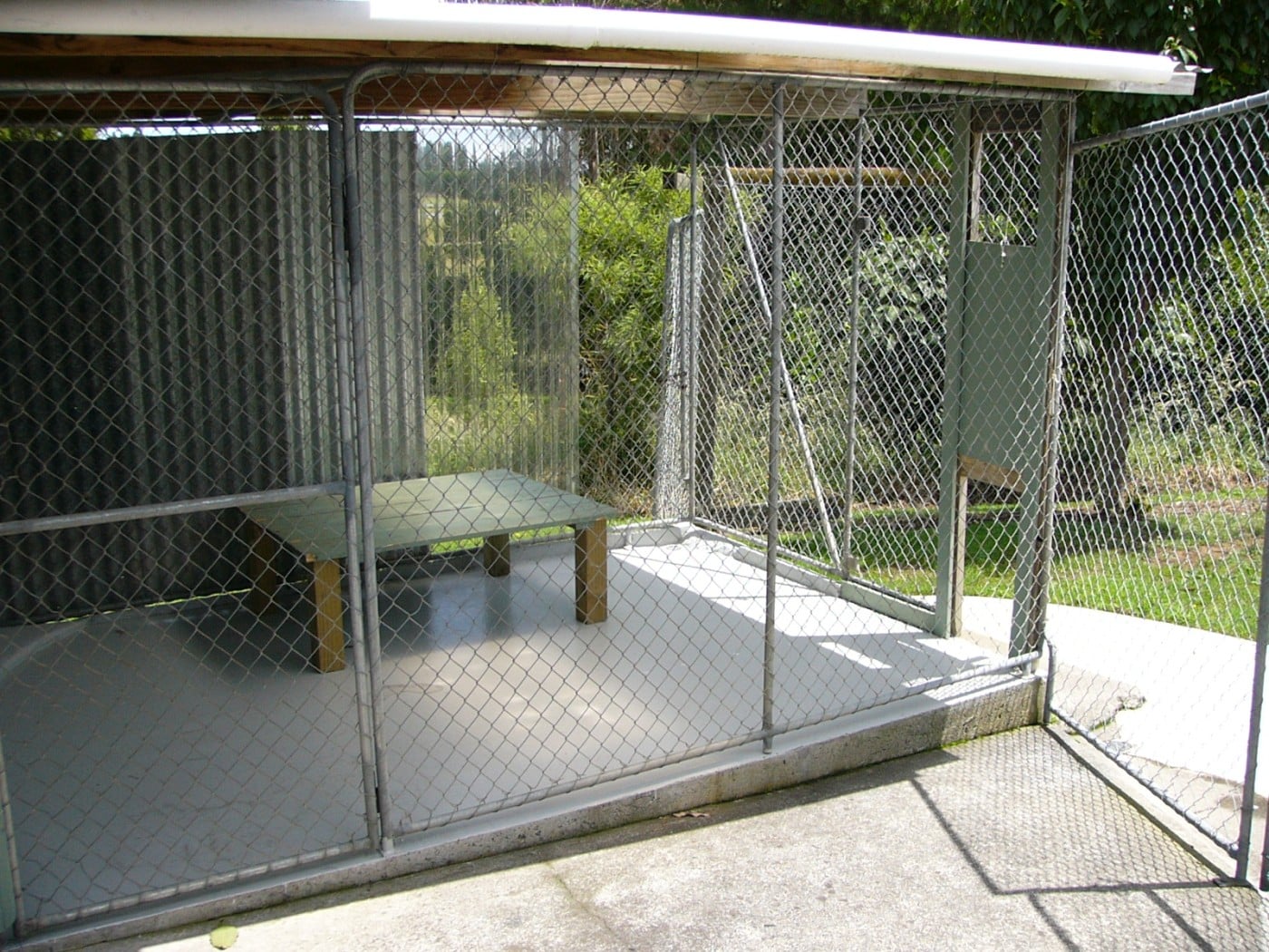 Kennel with Elevated Platform