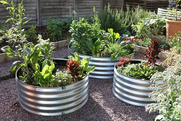 Metal Container Garden .jpg