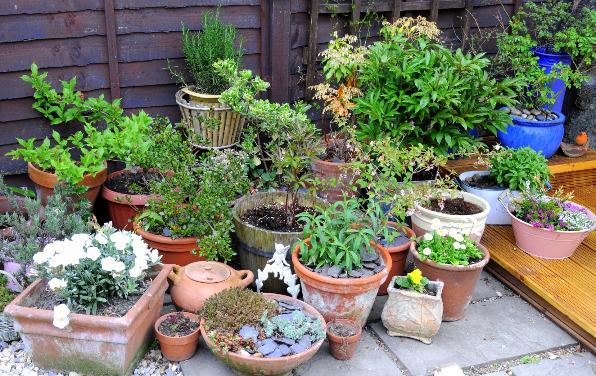 Multi-Tasking Container Garden.