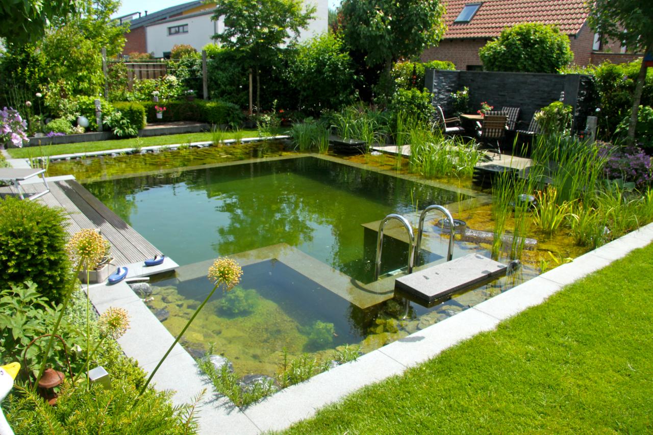 Natural Organic Pool