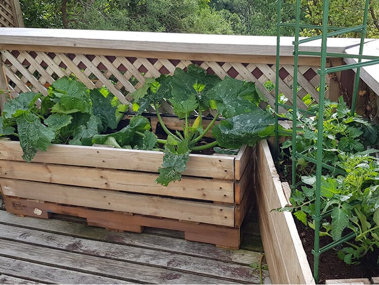 Pallet Planter Box For Deck