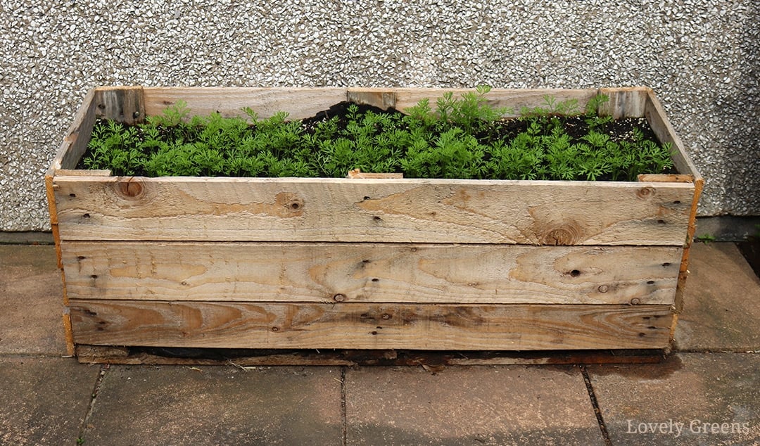 Pallet Planter Box Plan.