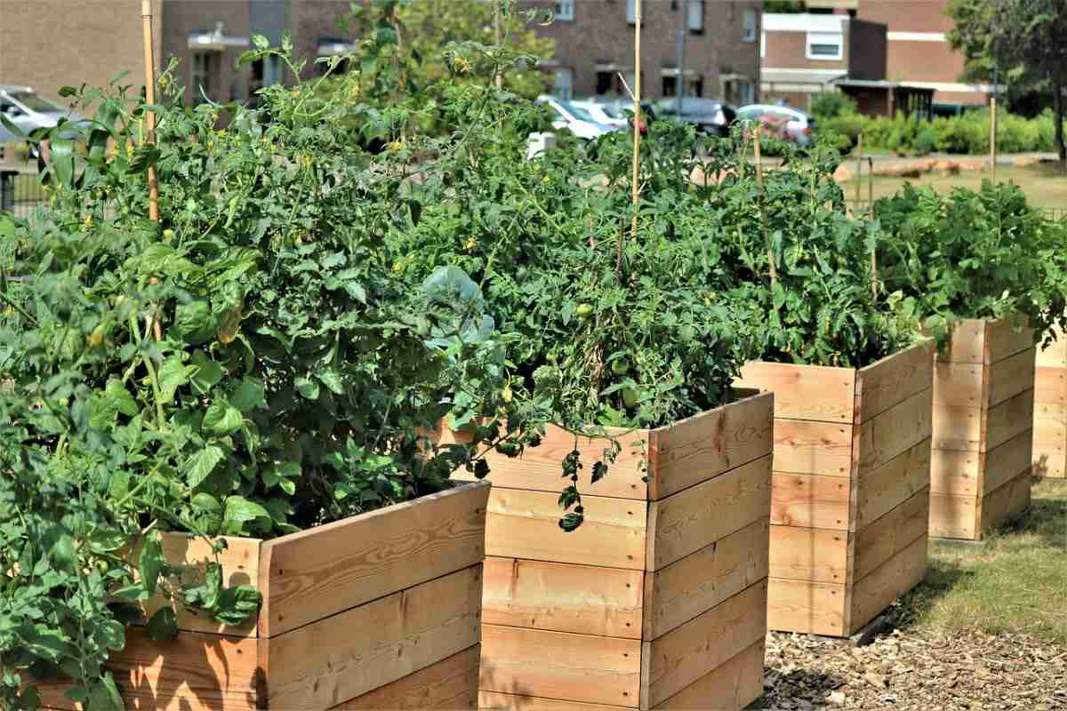 Raised Container Garden