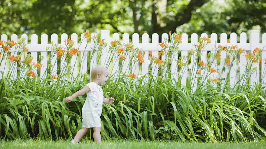 Replace Your Garden Fences With Blooms .jpg