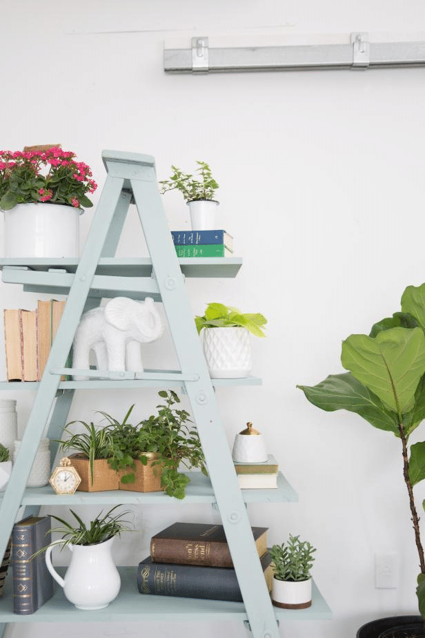 Repurposed Wooden Ladder Shelf