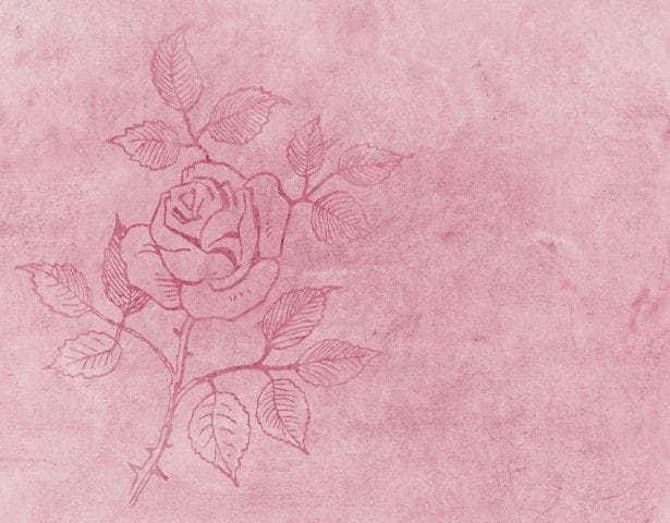Rose Bud Texture