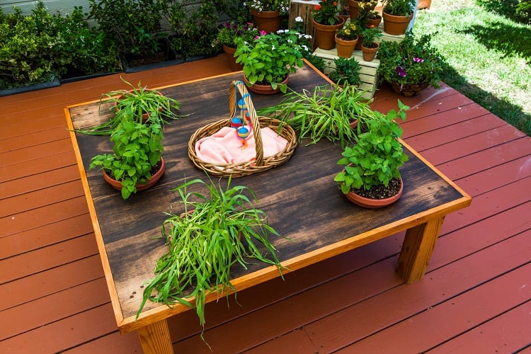 Rustic Tabletop Container Garden