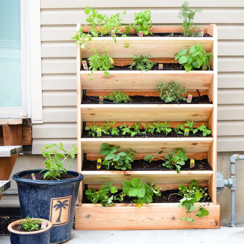 Vertical Herb Garden