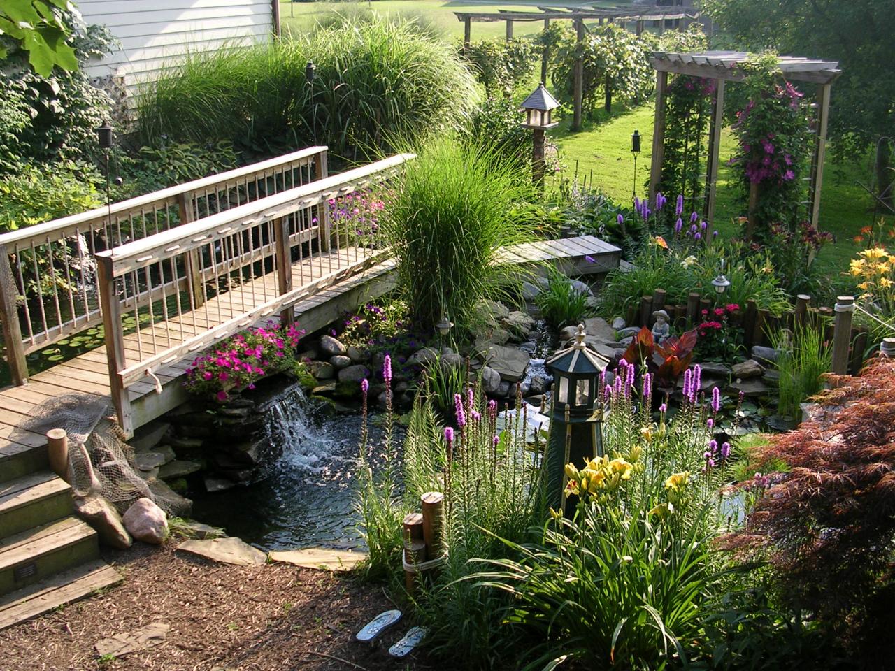 Water Plants In Your Yard