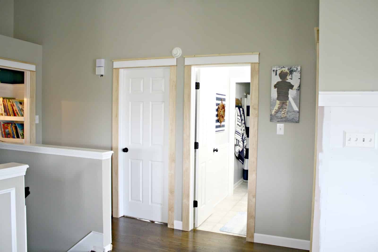 Shiplap Doors