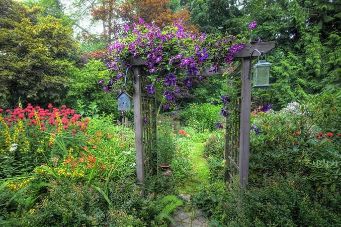 Add a Rustic Arbor