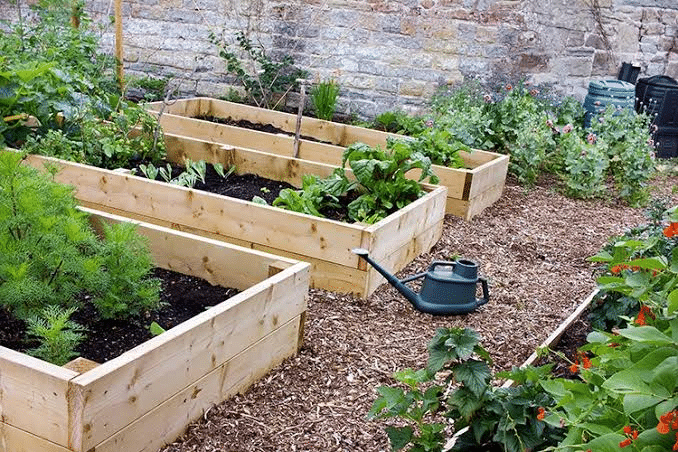 Raised Bed Brilliance