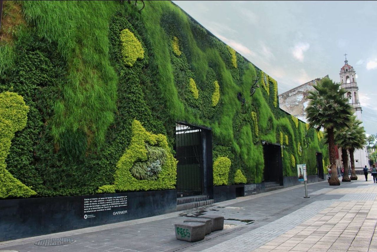 A Green Wall Home Is a Good Choice