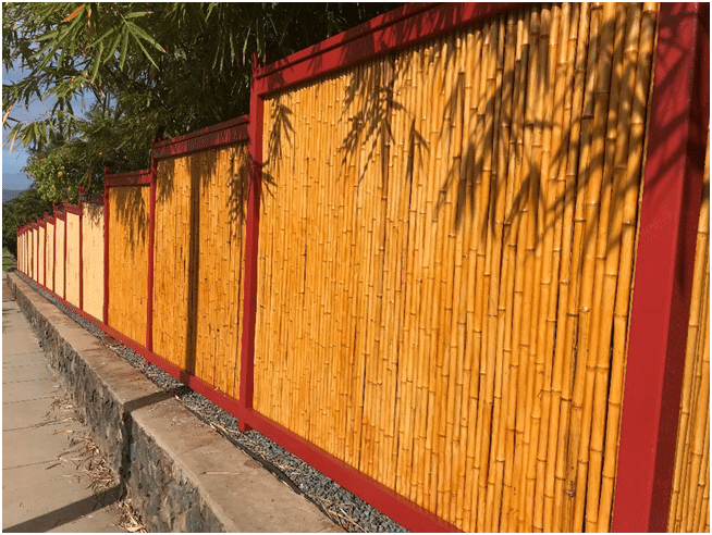 Bamboo Fence.