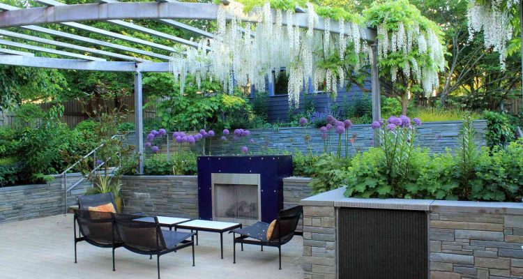 Best Front and Backyard Landscaping Ideas