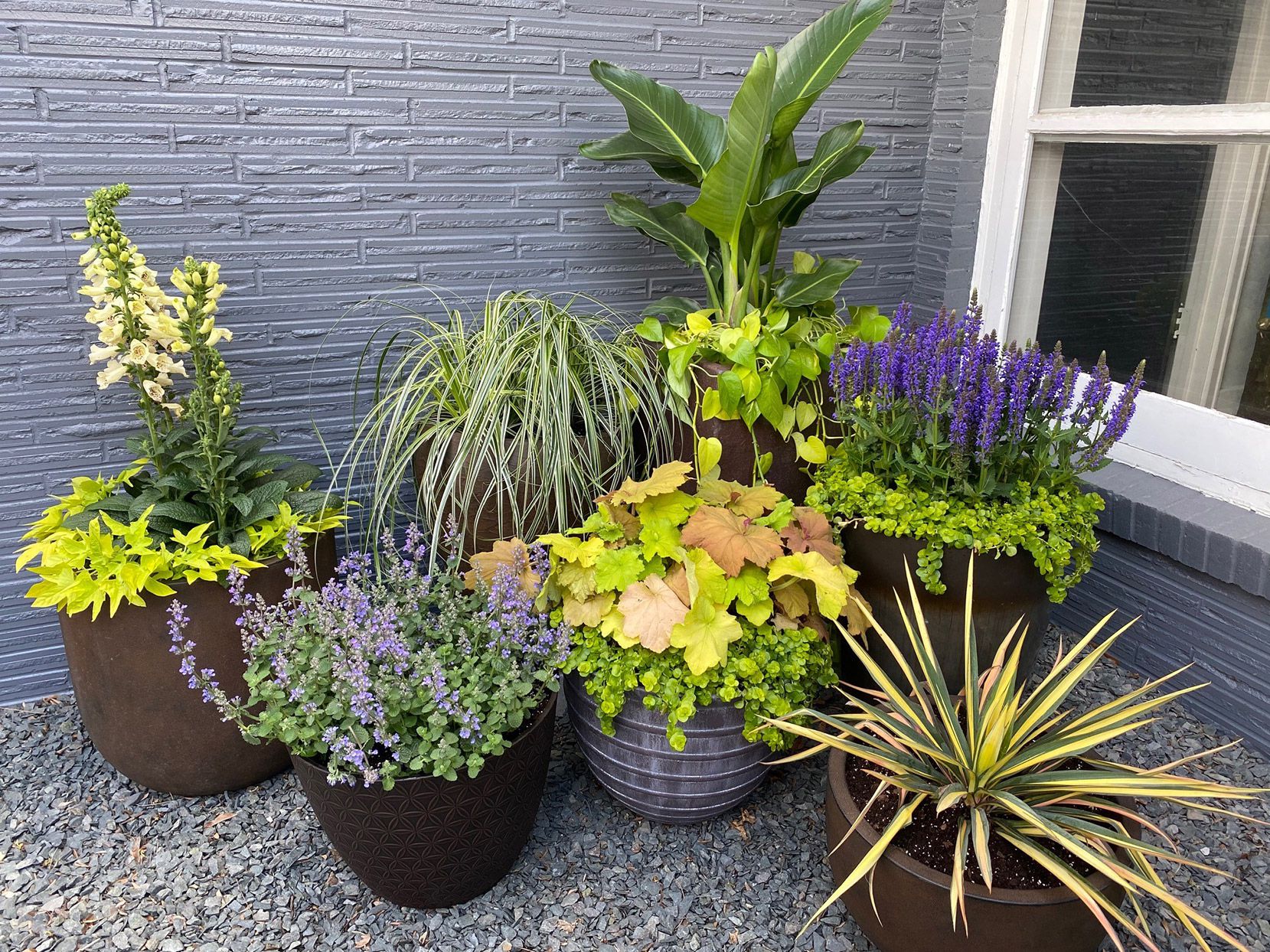 Blended Container Garden.