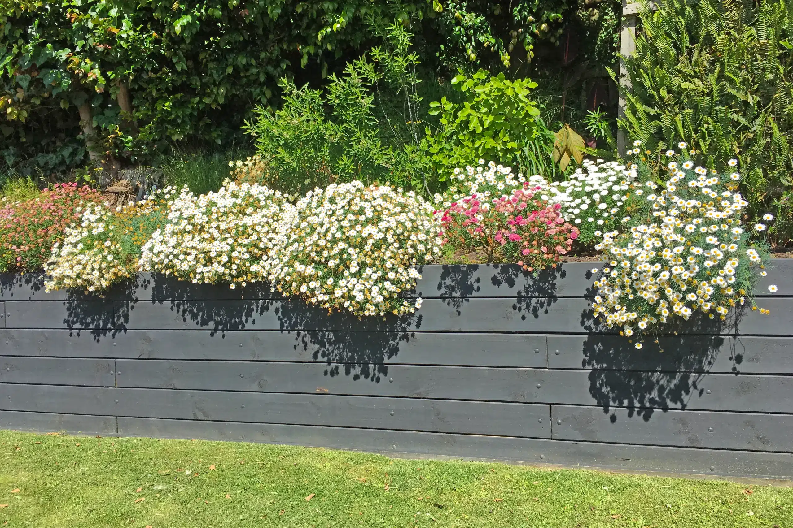 Concrete Walls with Flower Beds .jpg