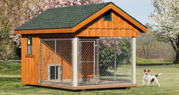 Dog Run Ideas [Free DIY Plans and Tips for a Backyard your dog will love ]