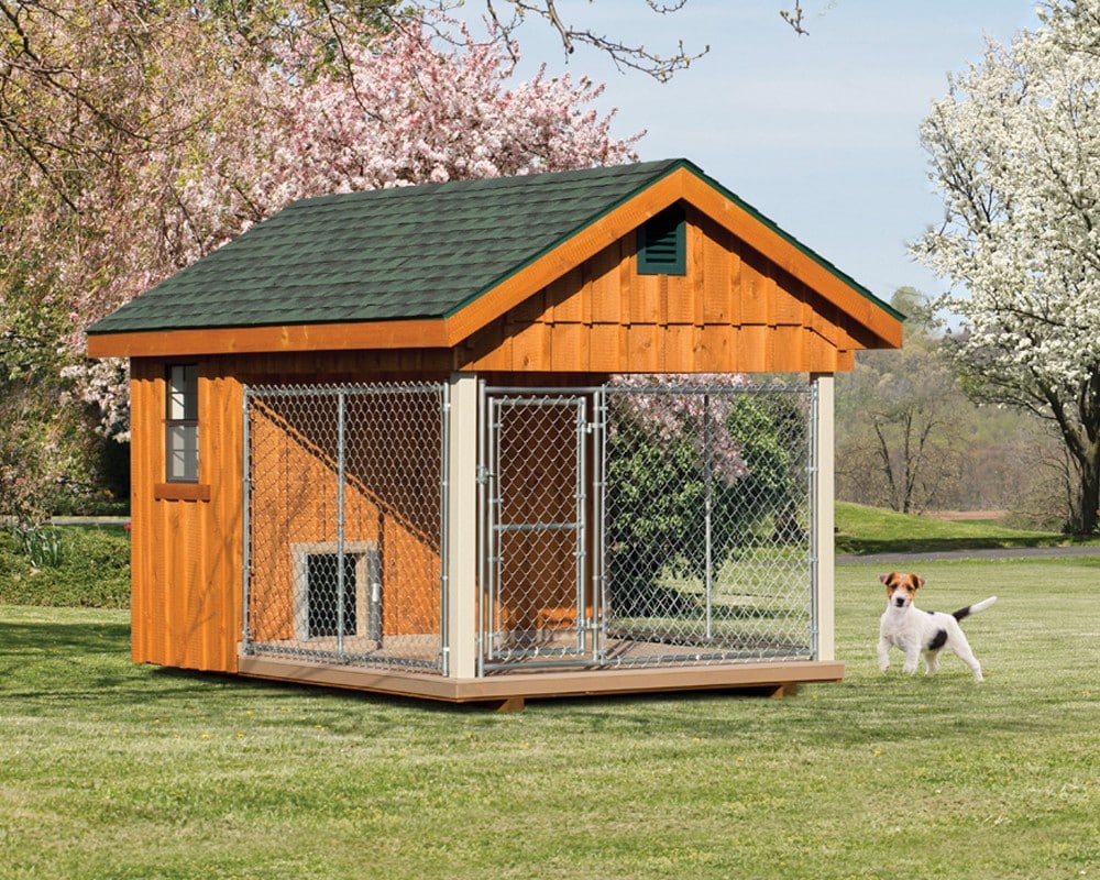 Dog Run Ideas [Free DIY Plans and Tips for a Backyard your dog will love ]