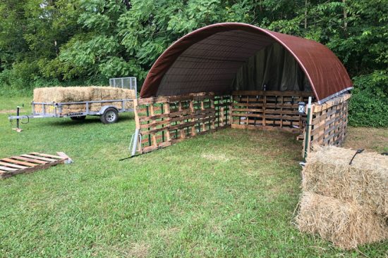 18 Creative Ways to Build Goat Shelters: DIY Plans for Free! - Northern ...