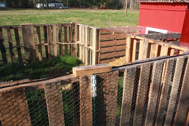 Pallet Fence for Chicken Yard.
