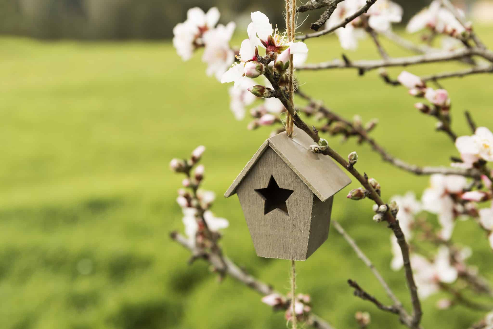 11 FREE DIY Birdhouse Plans to Build Today StepByStep Guide