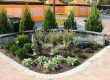 Low Maintenance Garden Border Ideas for Every Budget