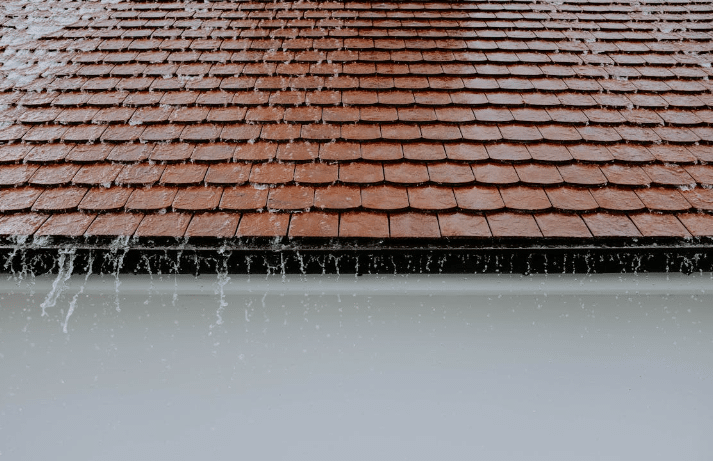 Signs It’s Time to Replace Your Roof: What Homeowners Need to Know