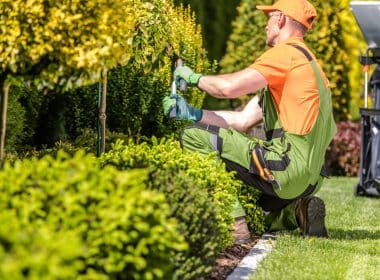 8 Common Landscaping Challenges and How to Address Them